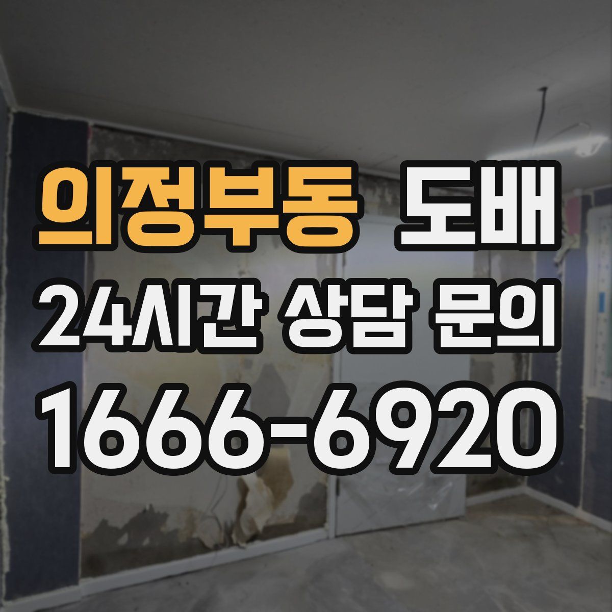 의정부동 도배