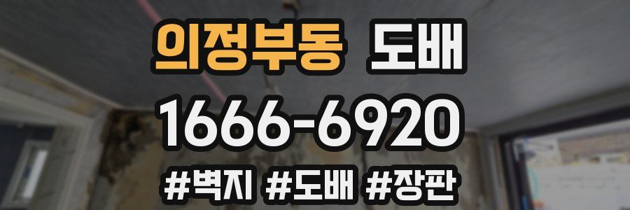 의정부동 도배