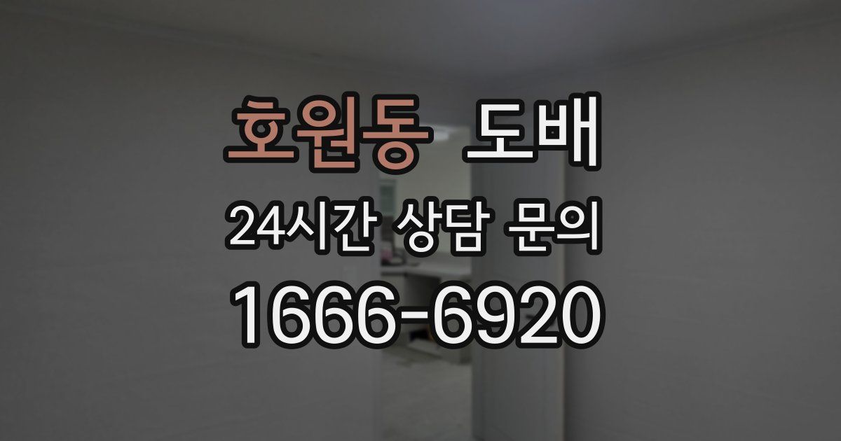 호원동 도배