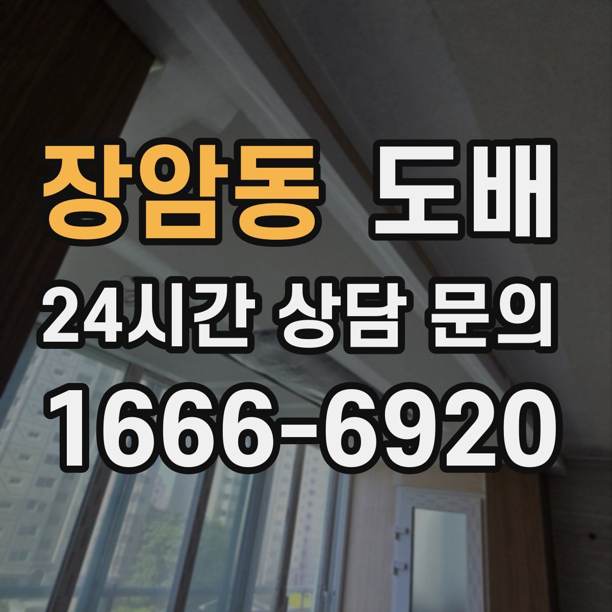 장암동 도배