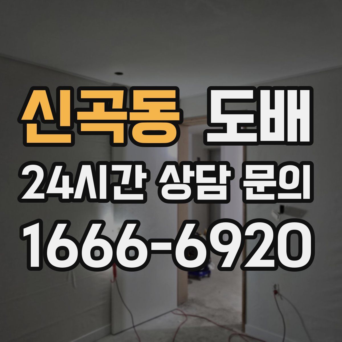 신곡동 도배