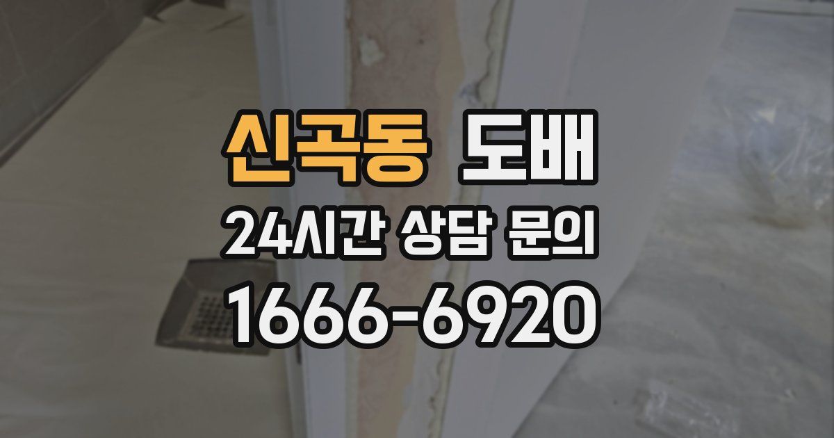 신곡동 도배