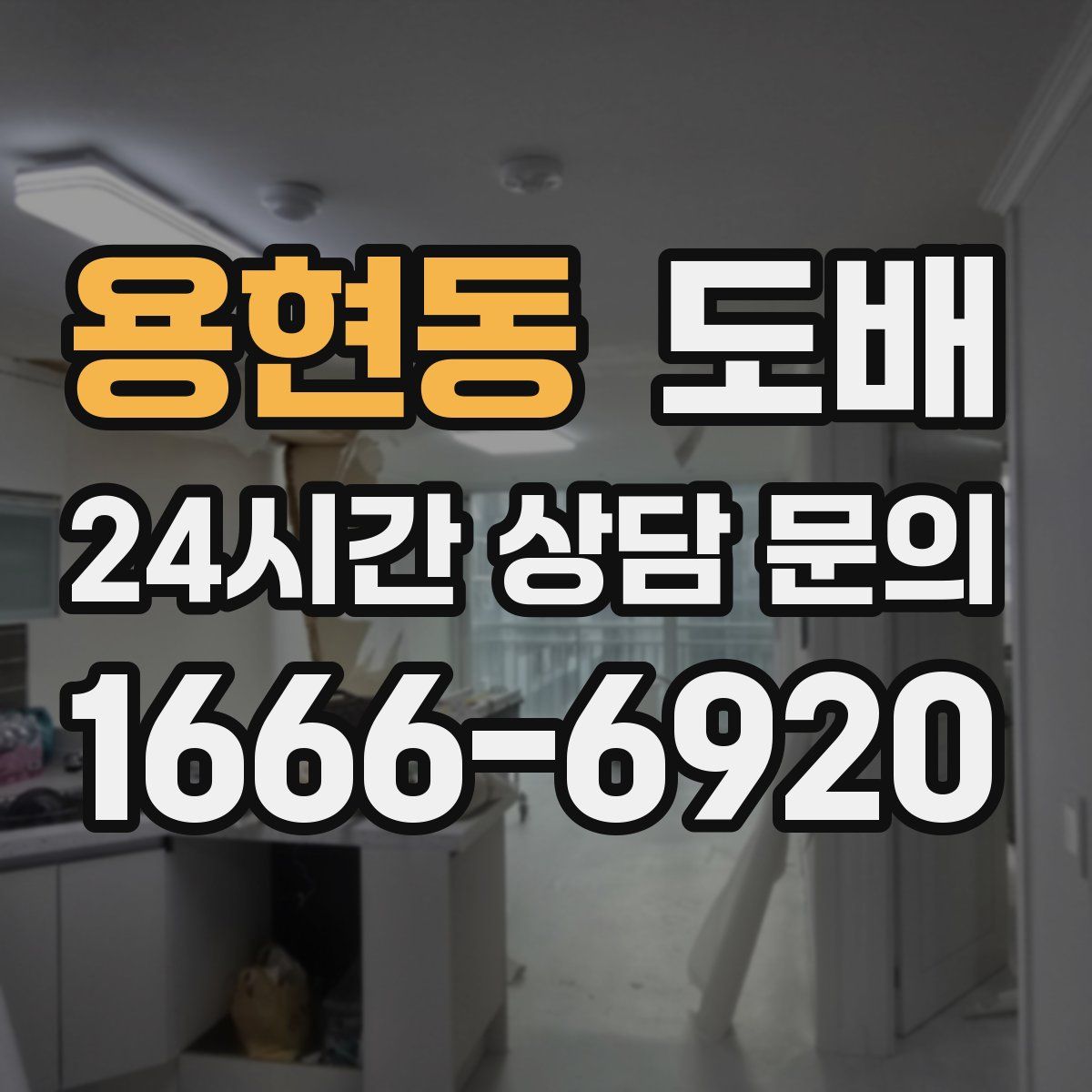 용현동 도배