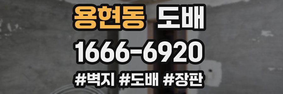 용현동 도배