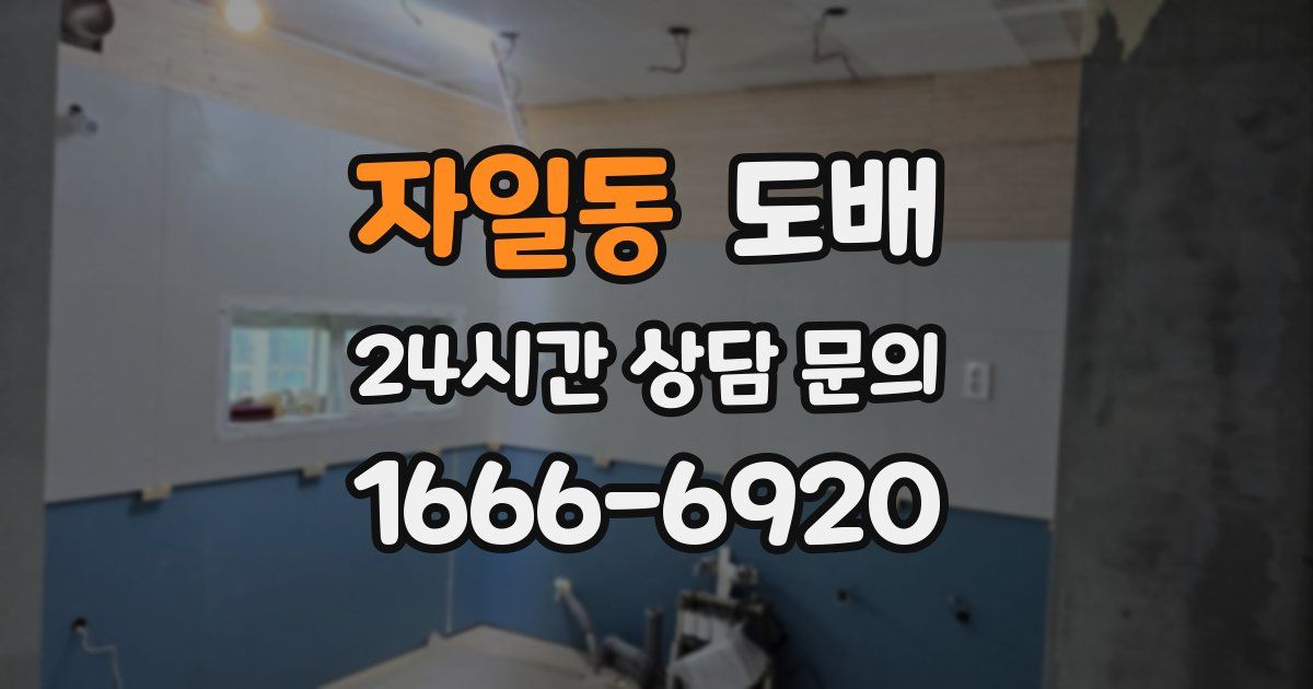 자일동 도배