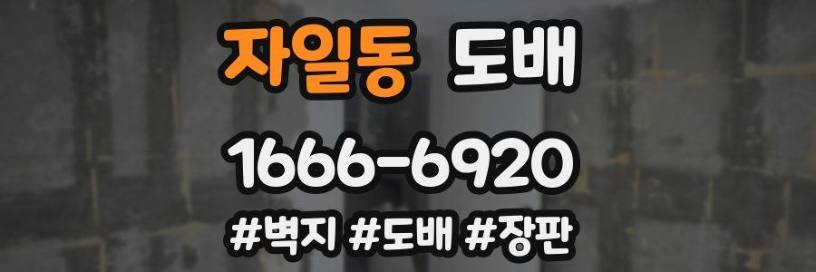 자일동 도배