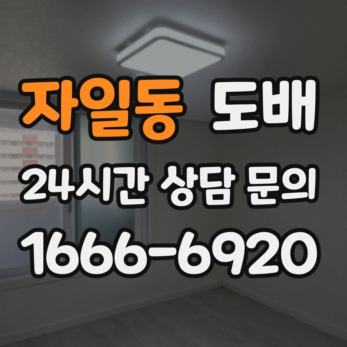 자일동 도배