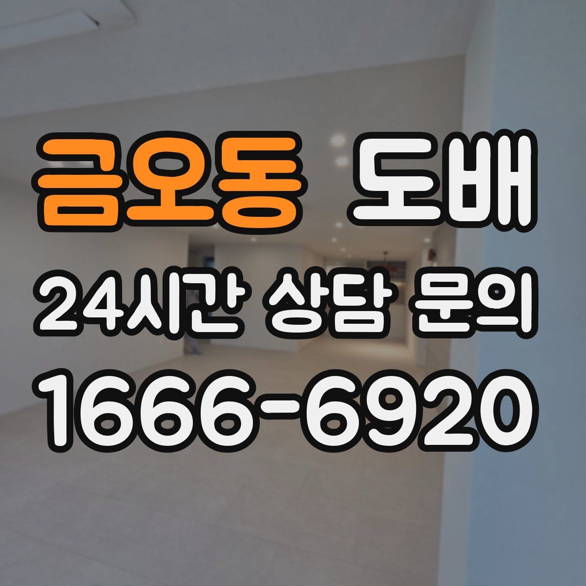 금오동 도배