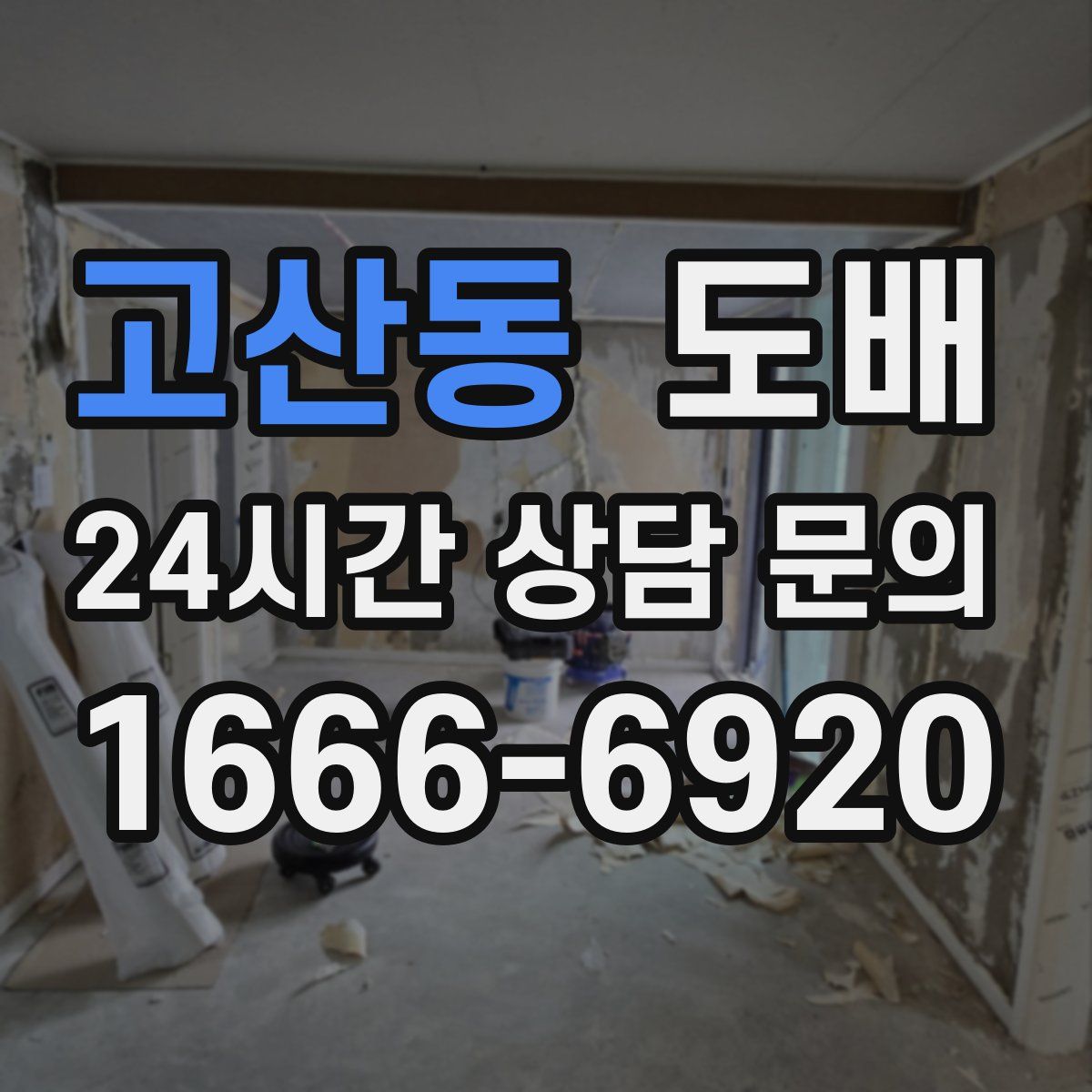 고산동 도배