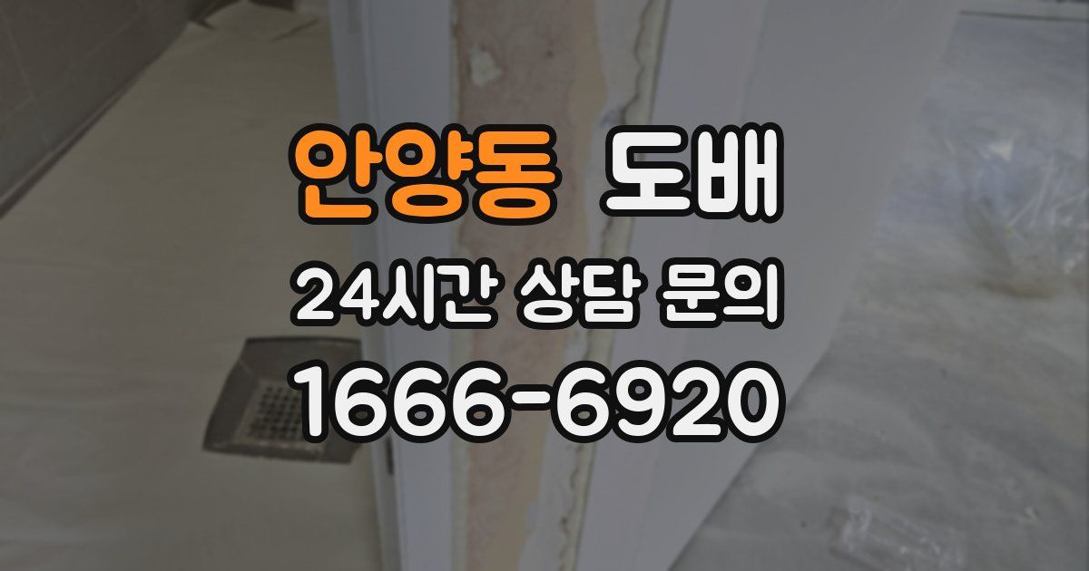안양동 도배
