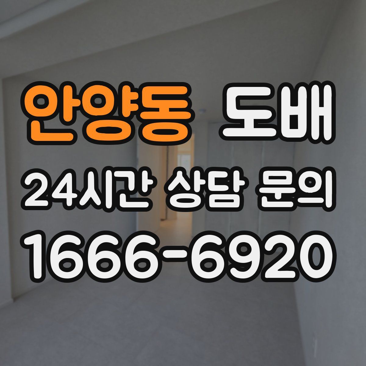 안양동 도배
