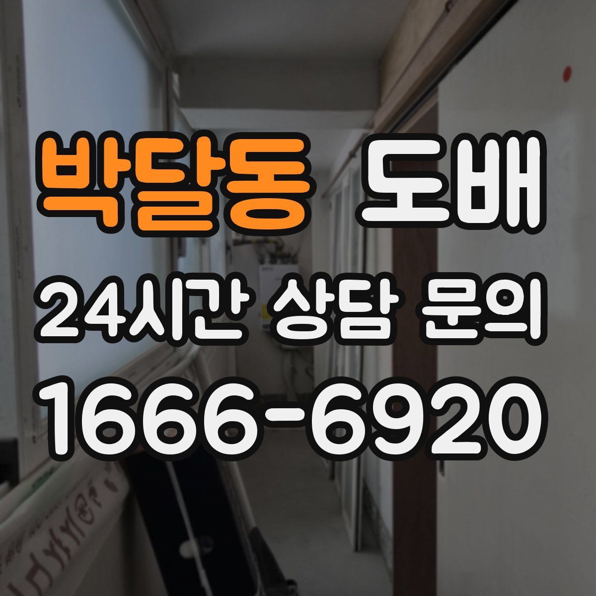 박달동 도배