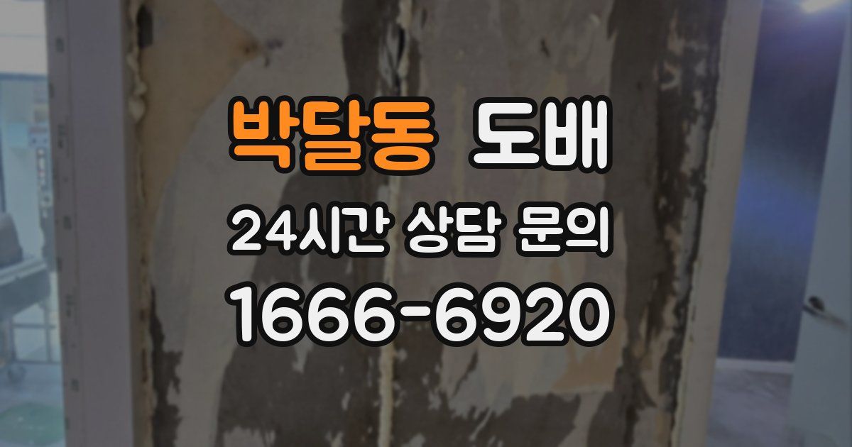 박달동 도배