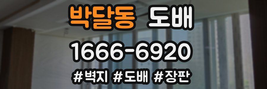 박달동 도배