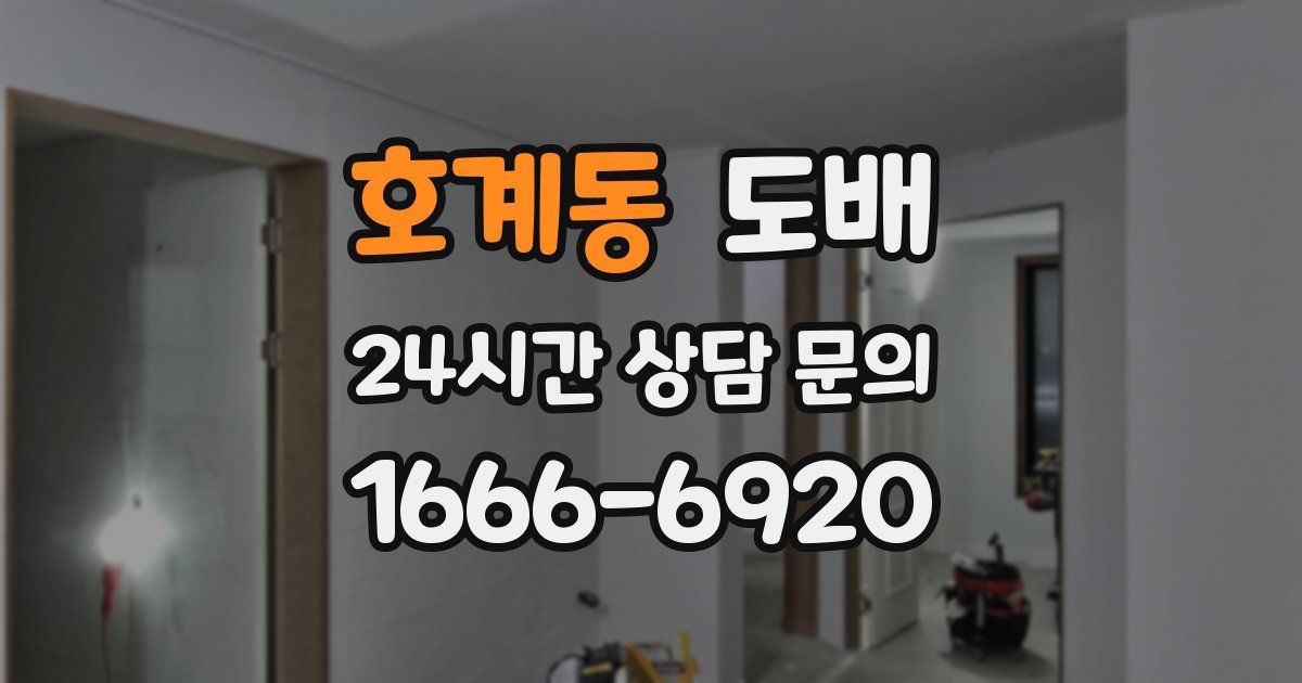 호계동 도배
