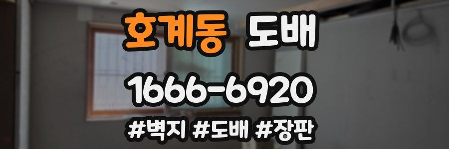 호계동 도배