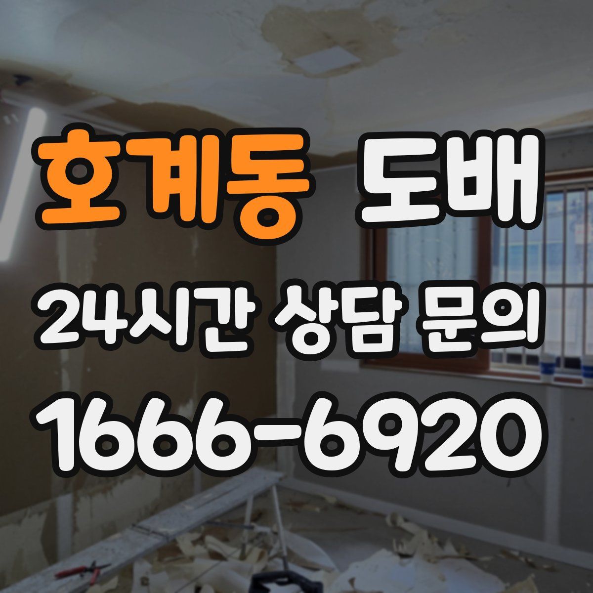 호계동 도배