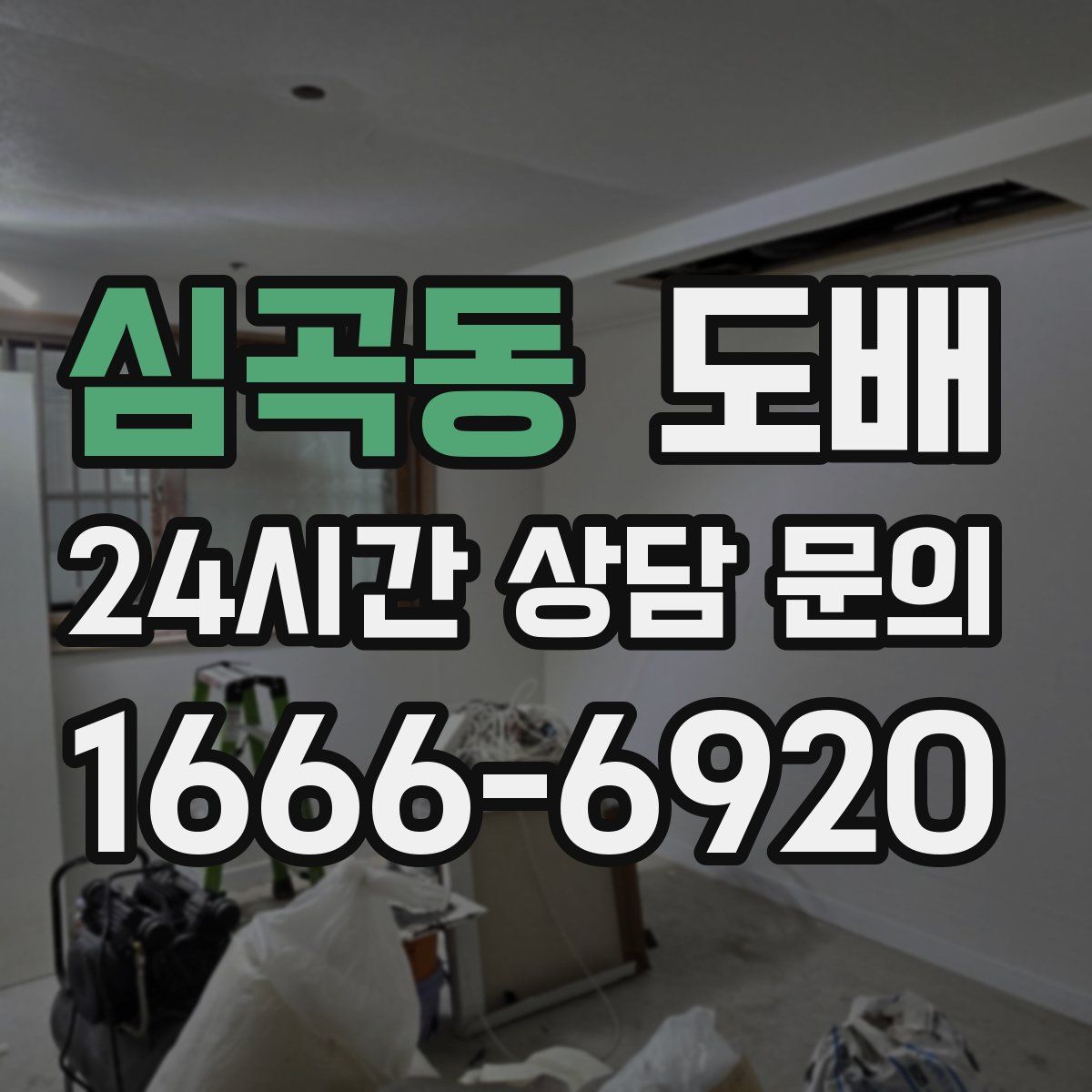 심곡동 도배