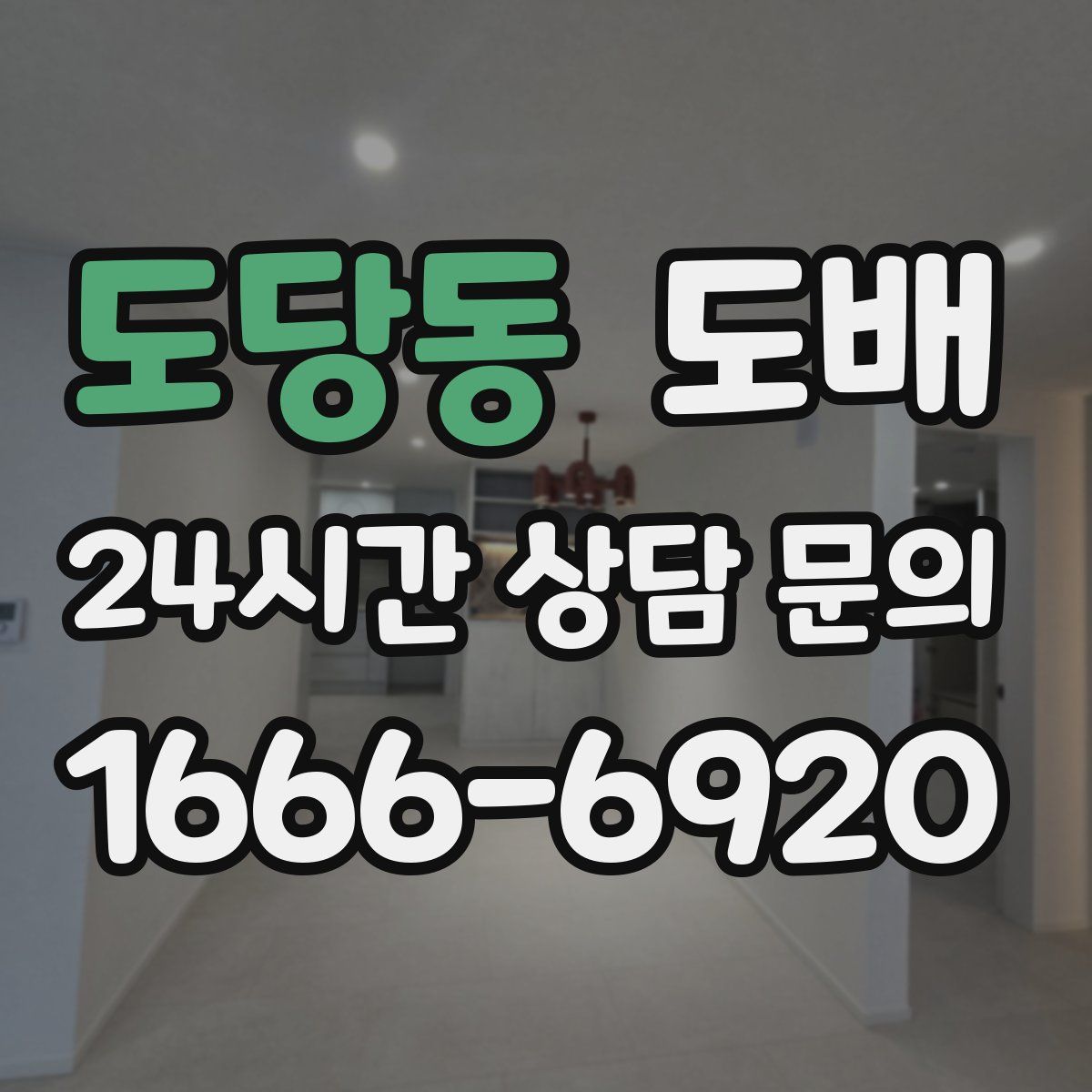 도당동 도배