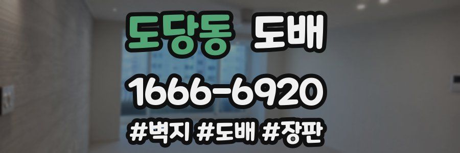 도당동 도배