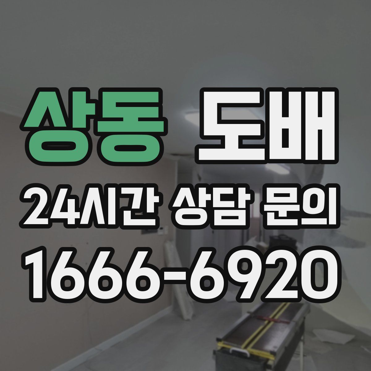 상동 도배