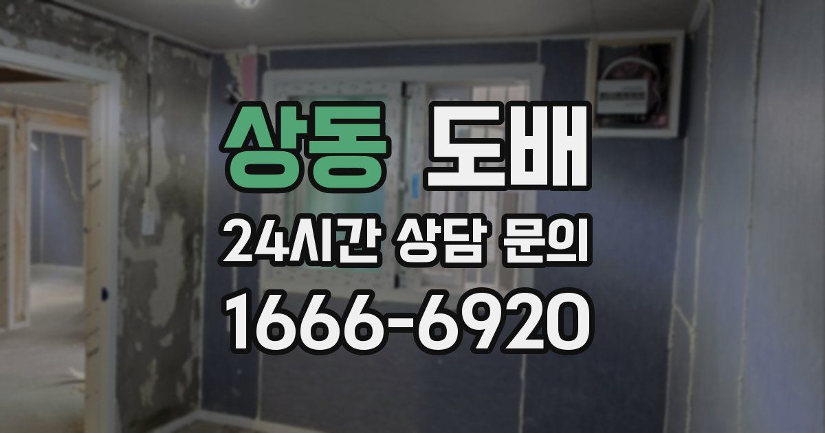 상동 도배