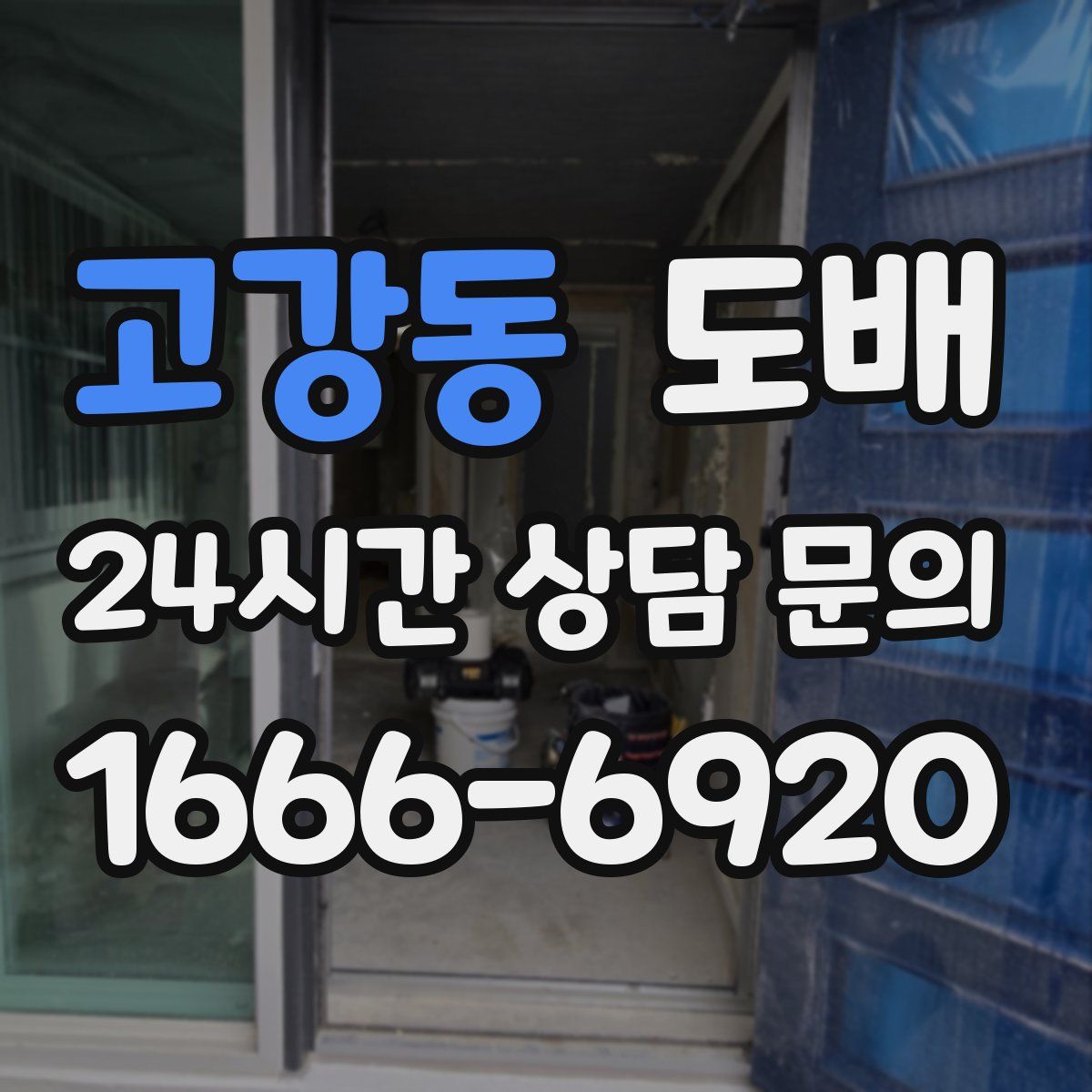 고강동 도배
