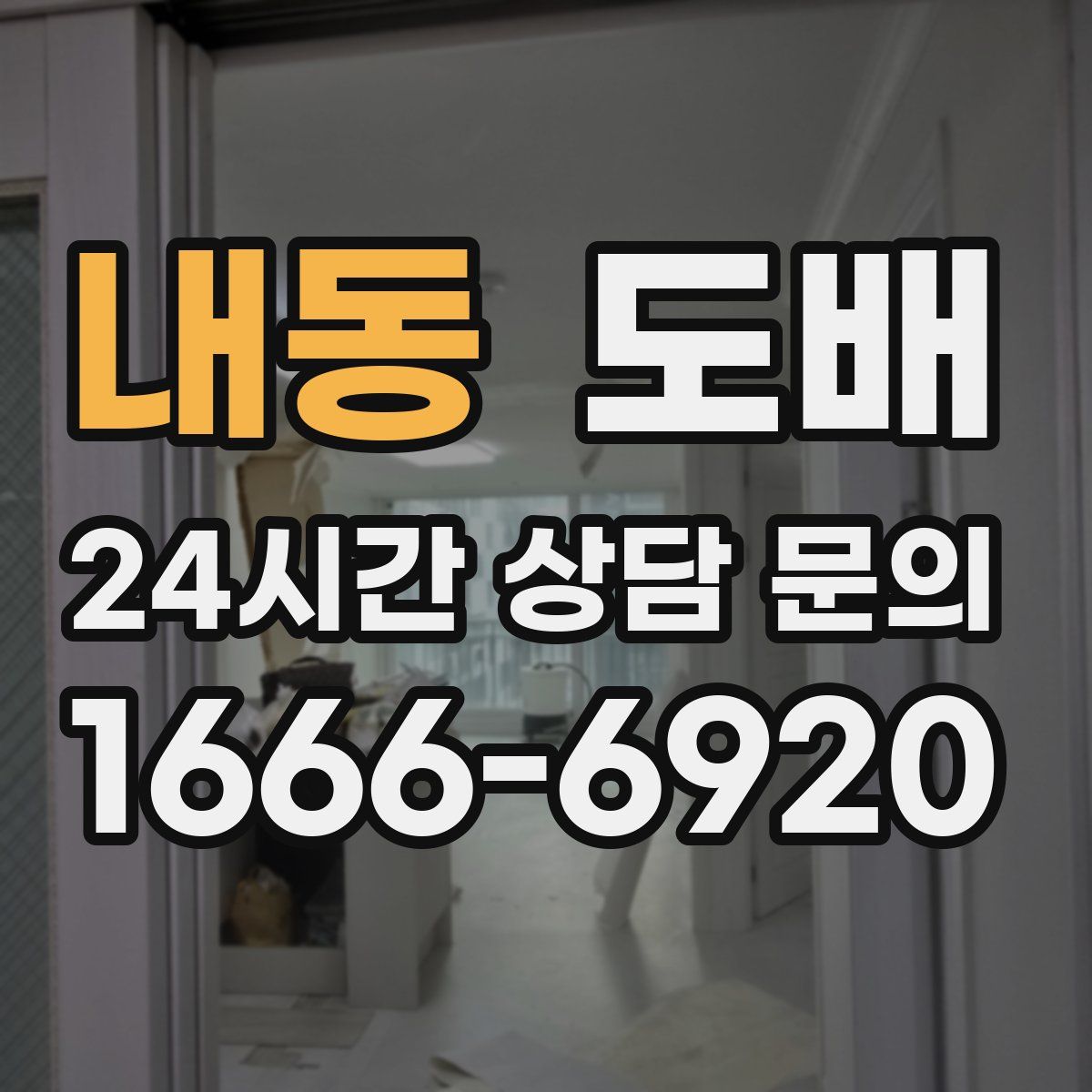 내동 도배