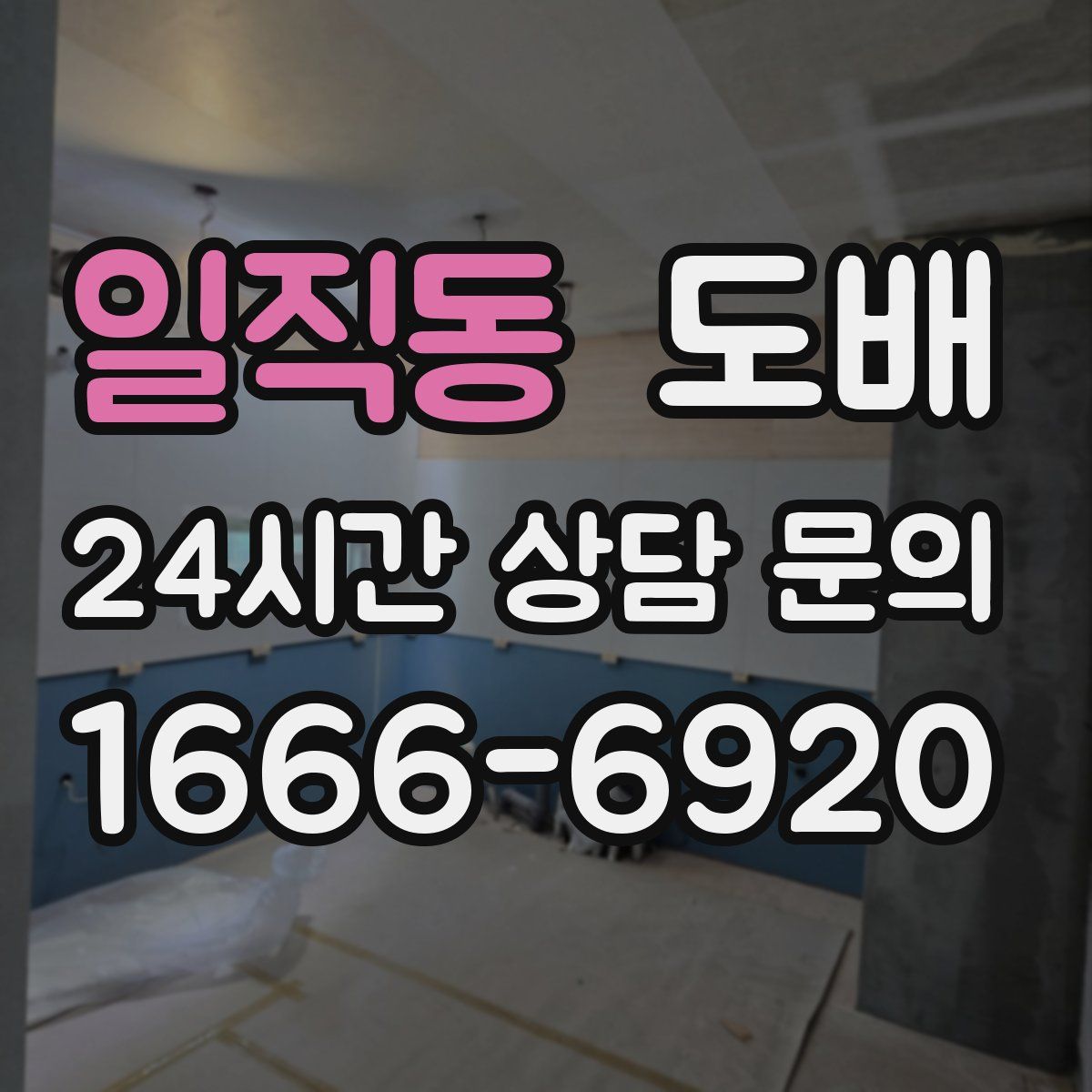 일직동 도배