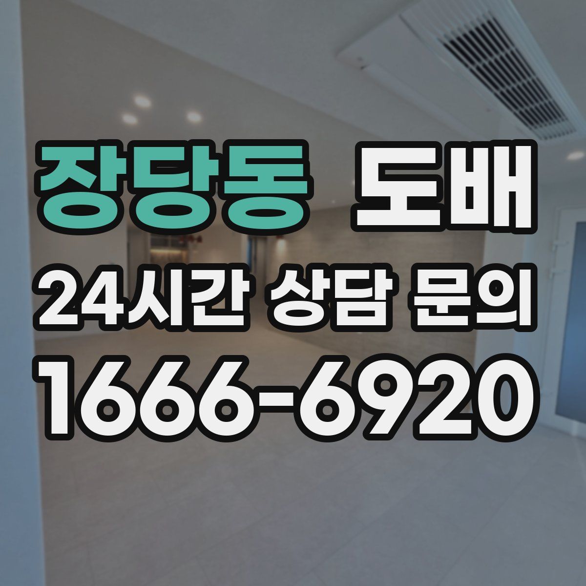 장당동 도배