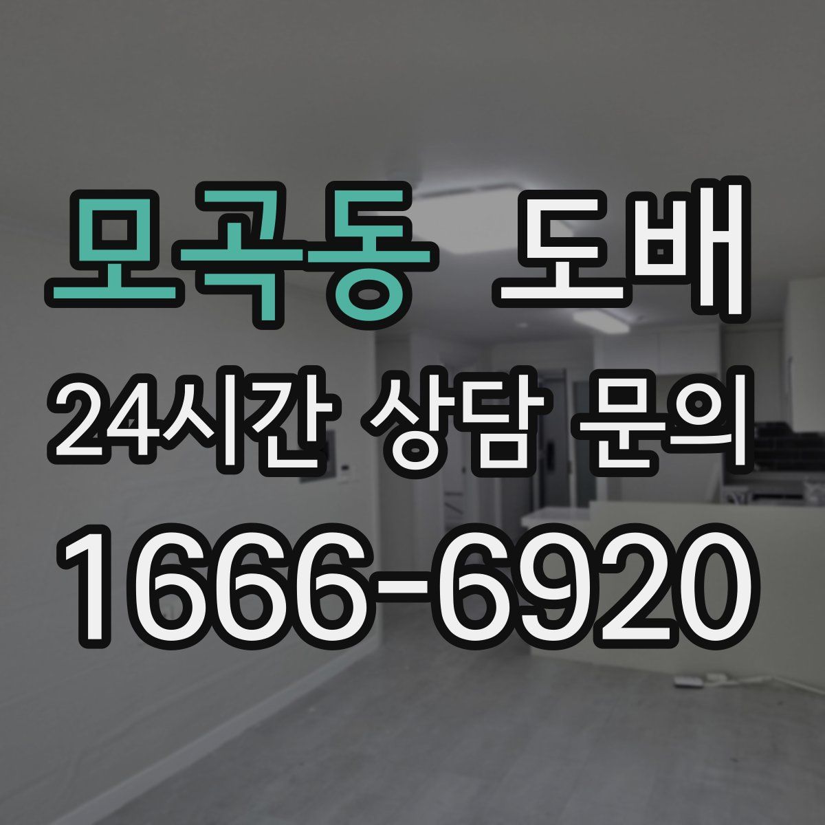 모곡동 도배