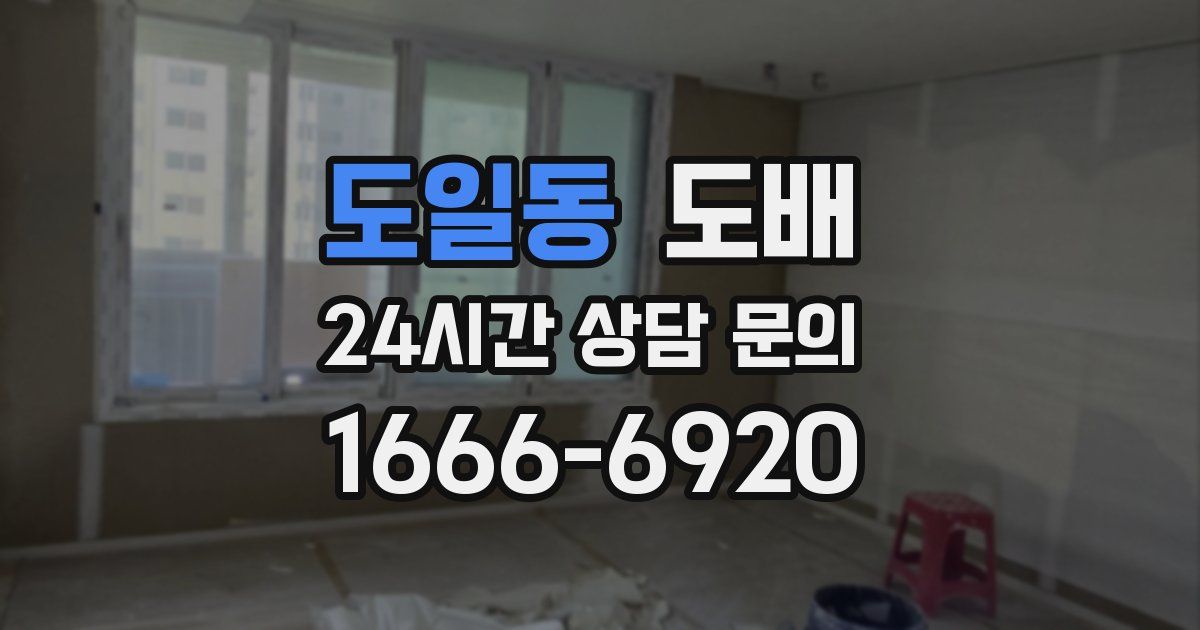 도일동 도배