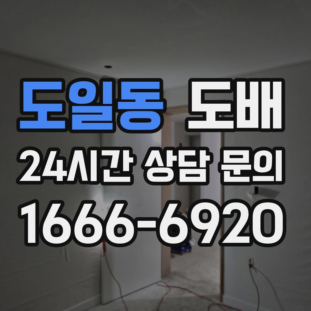 도일동 도배