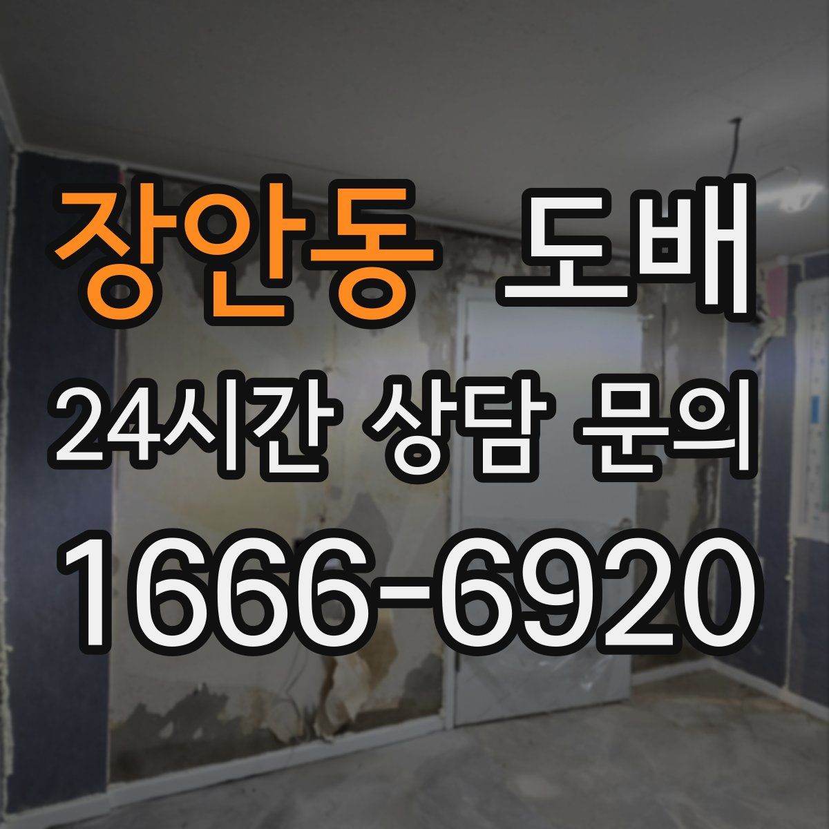 장안동 도배