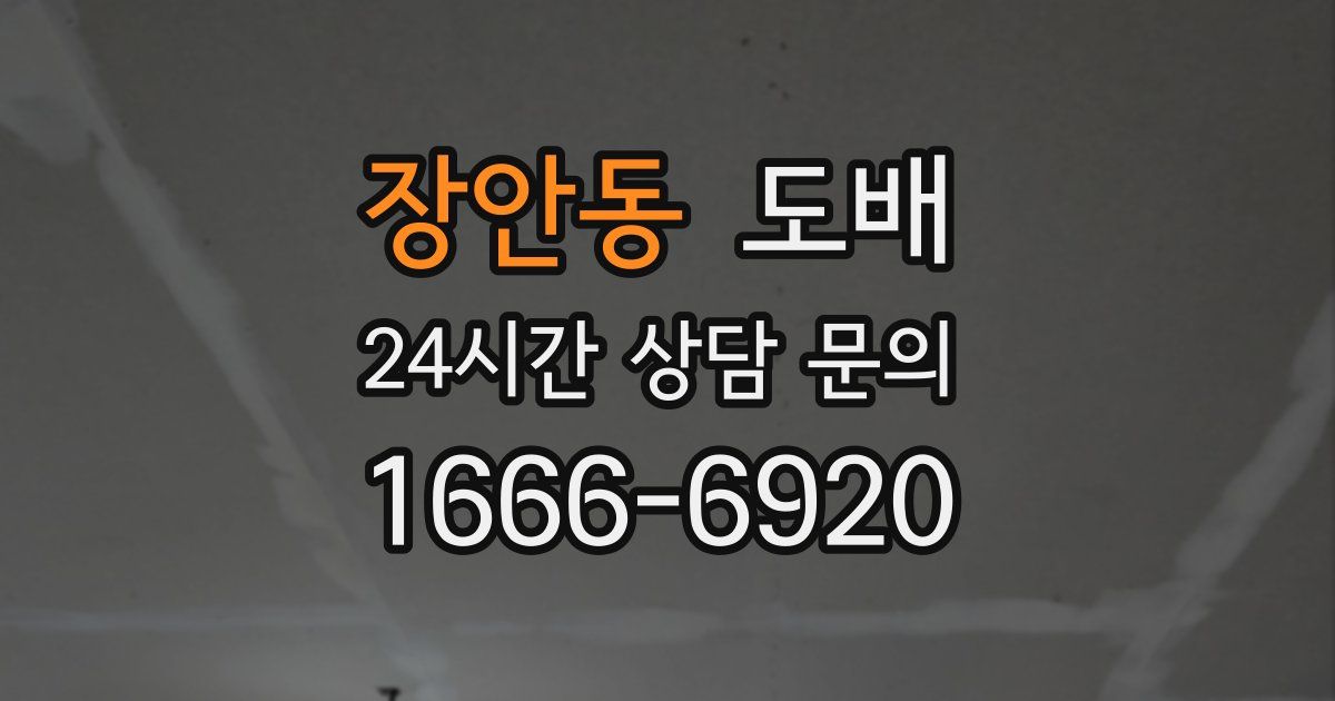 장안동 도배
