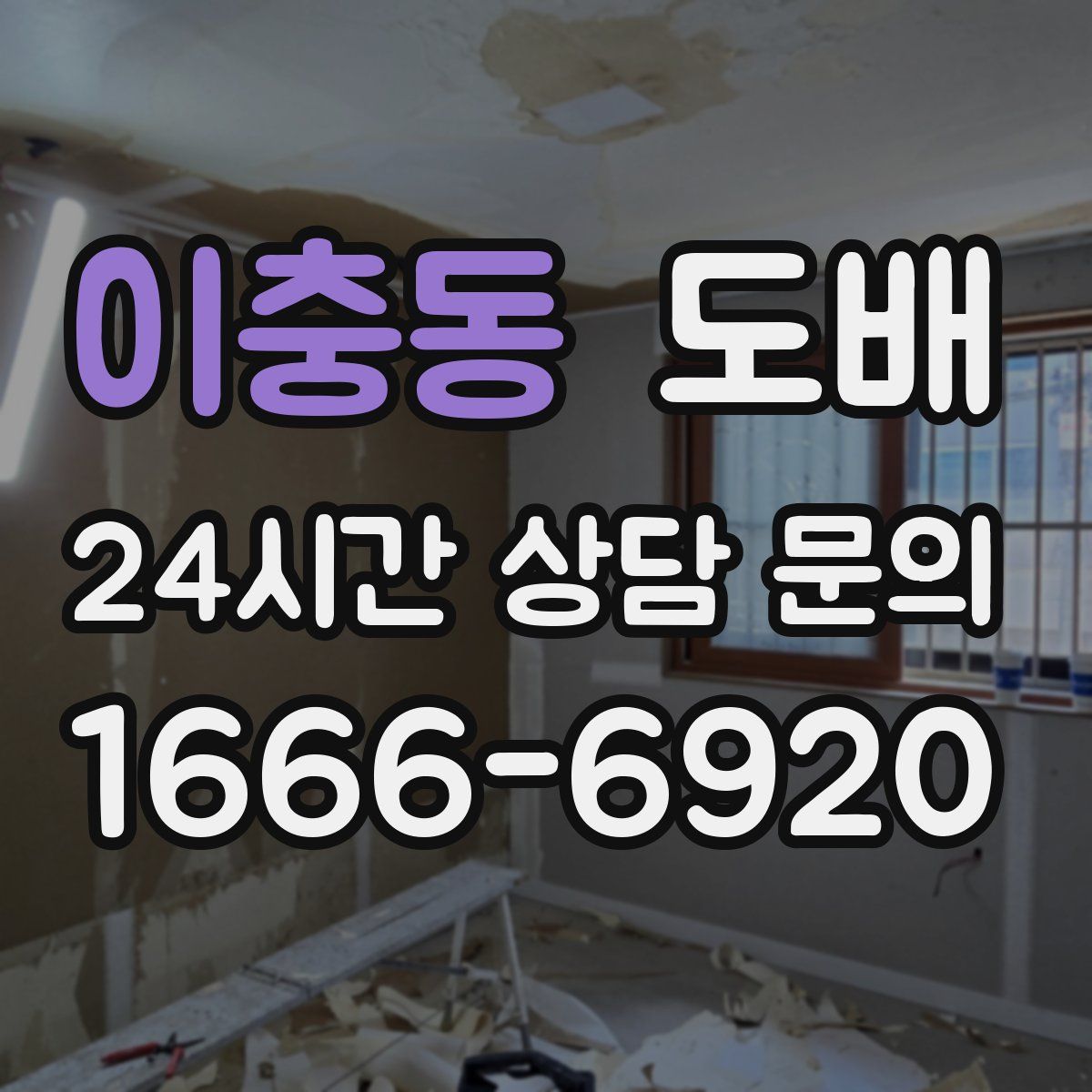 이충동 도배