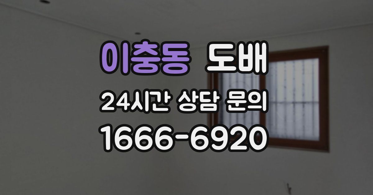 이충동 도배