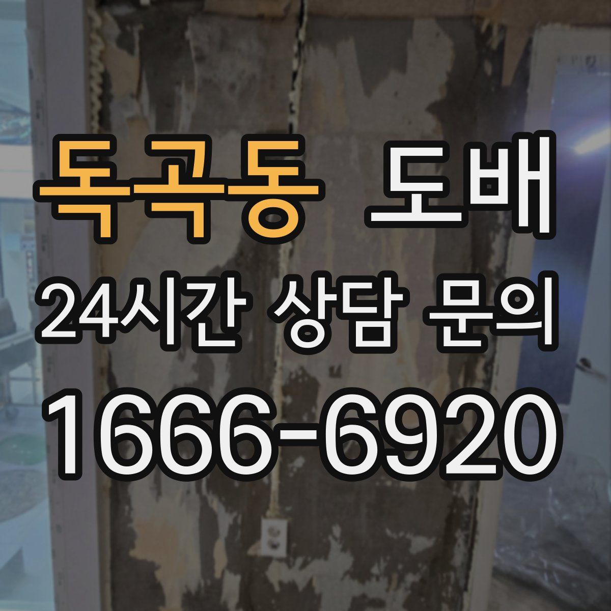 독곡동 도배