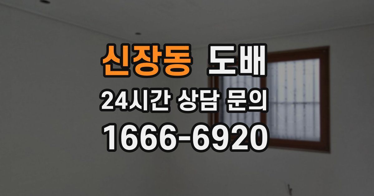 신장동 도배