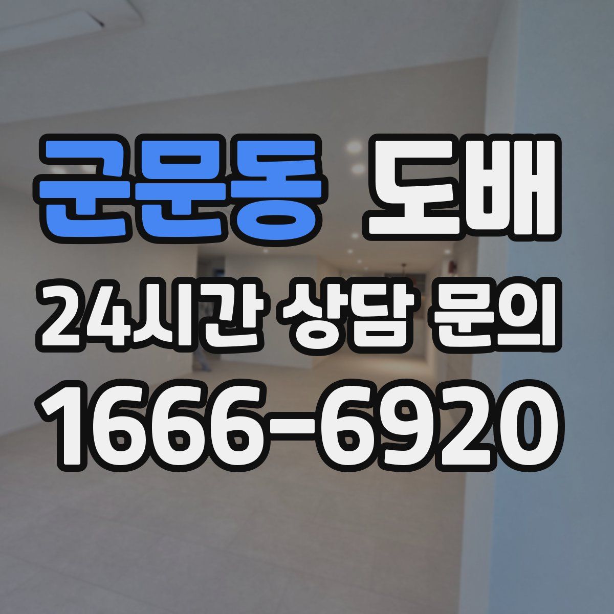 군문동 도배