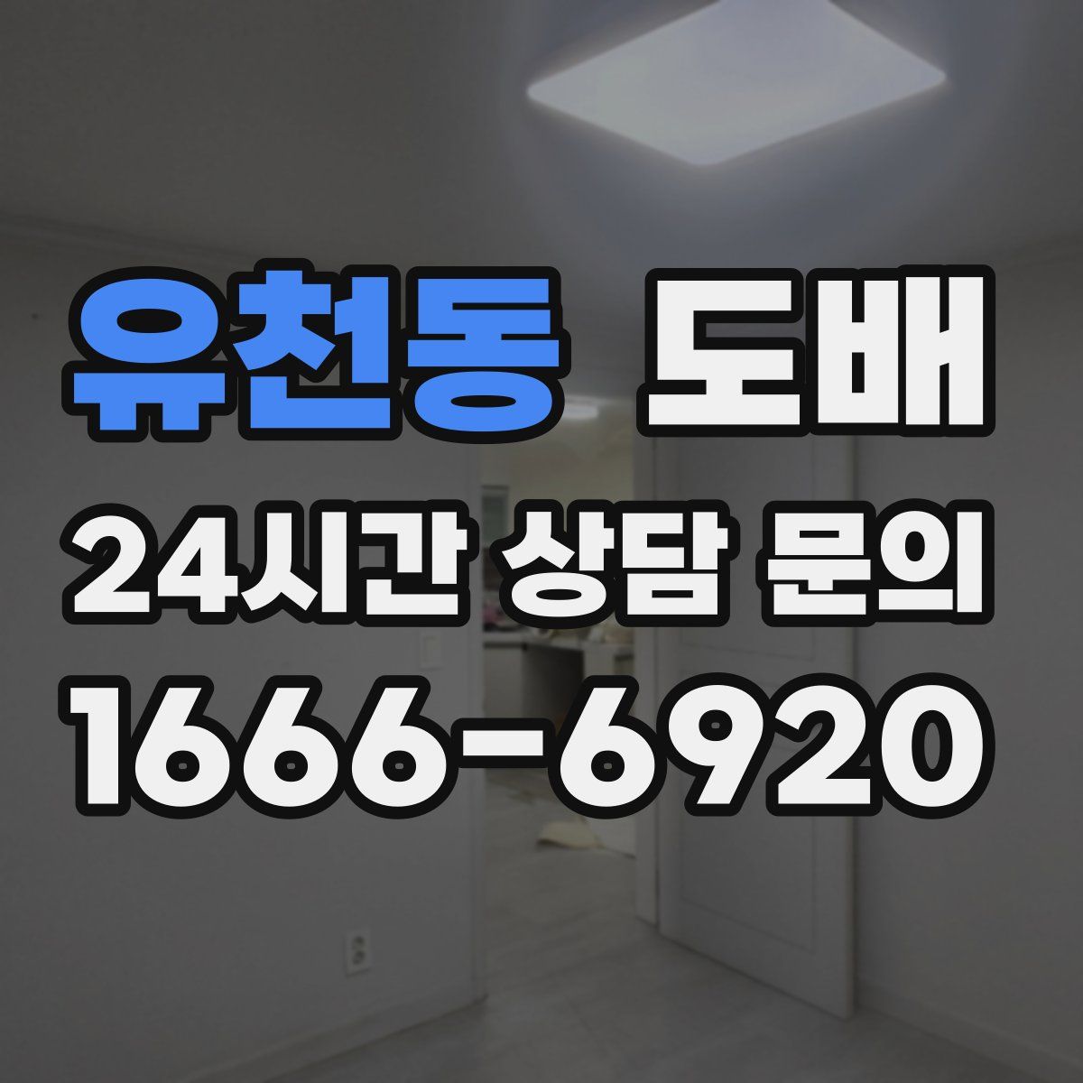 유천동 도배