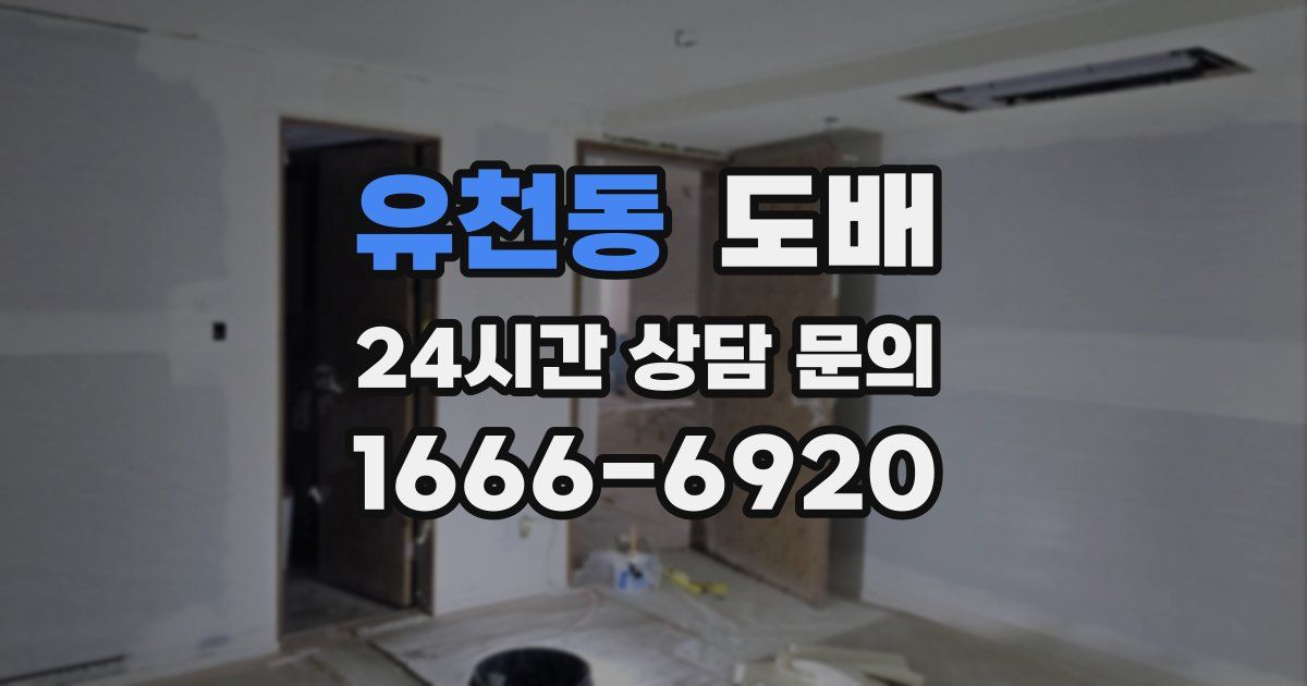 유천동 도배