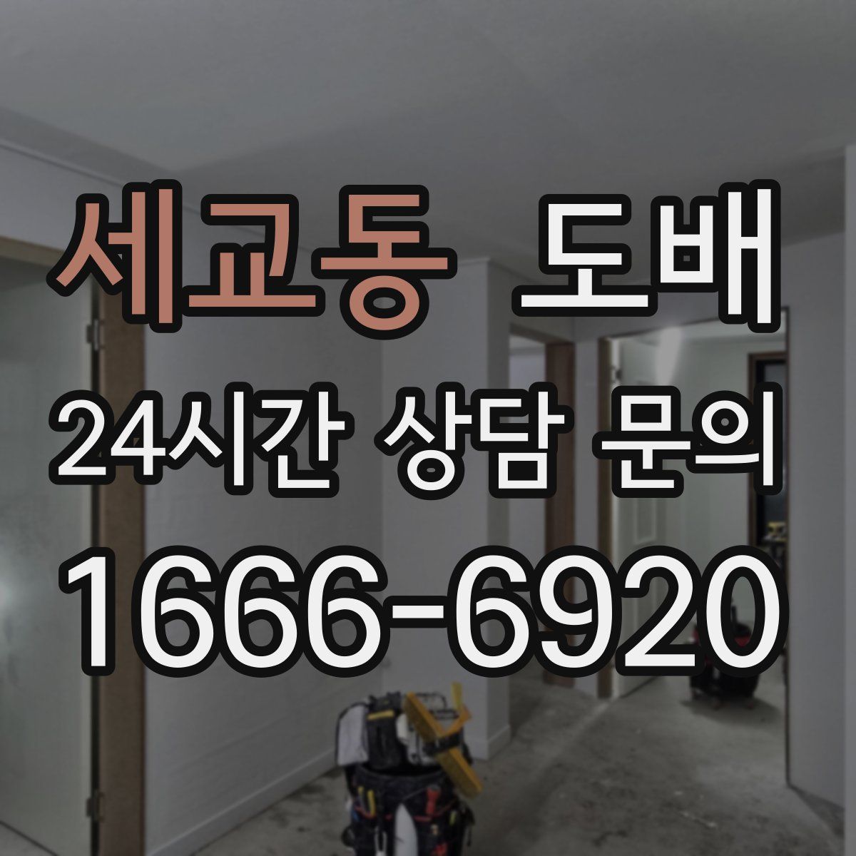 세교동 도배