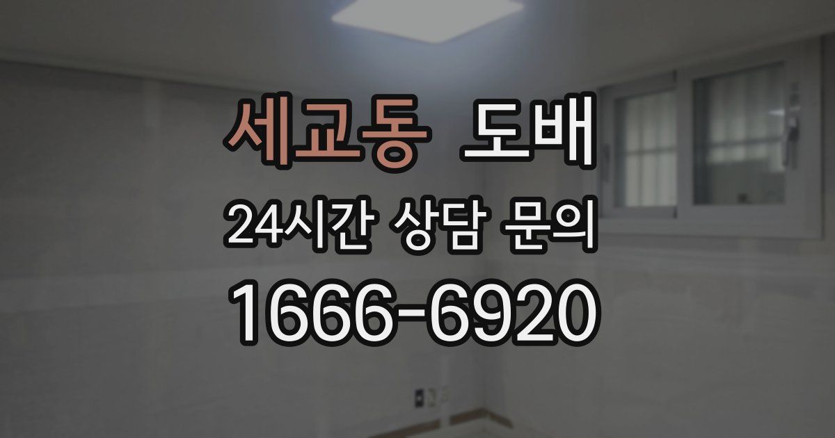 세교동 도배
