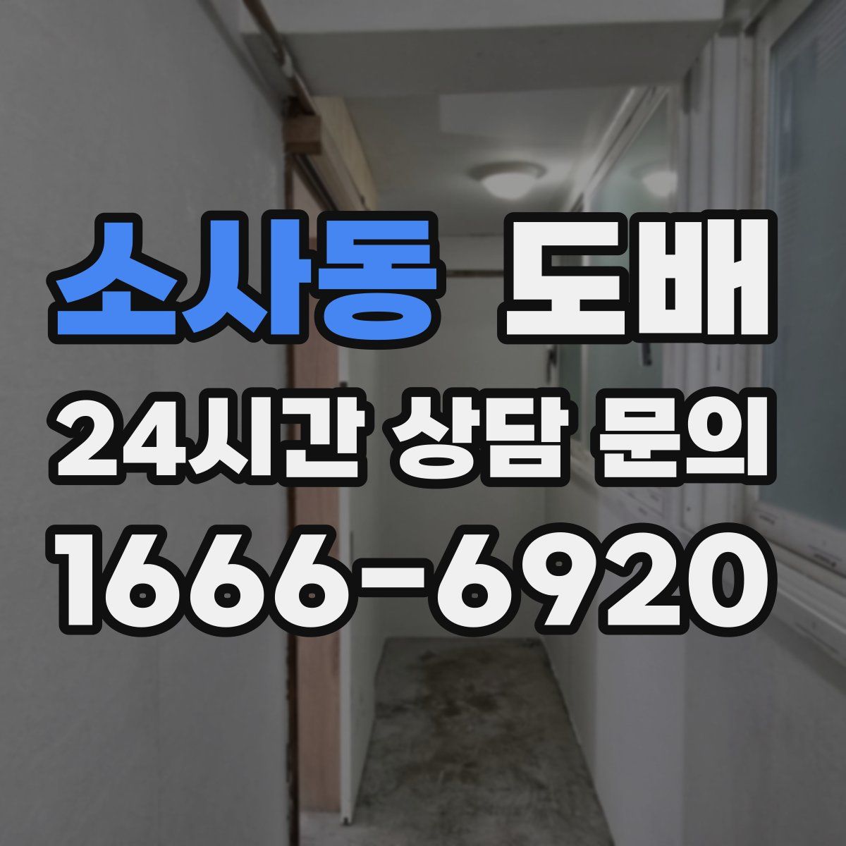 소사동 도배