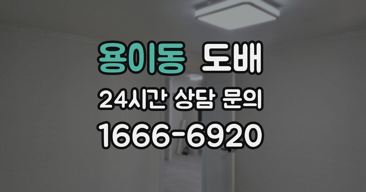 용이동 도배