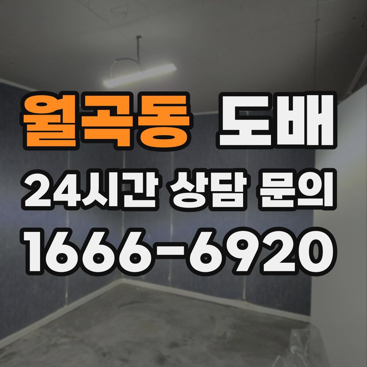 월곡동 도배