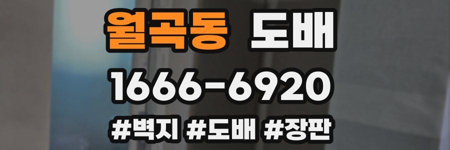 월곡동 도배