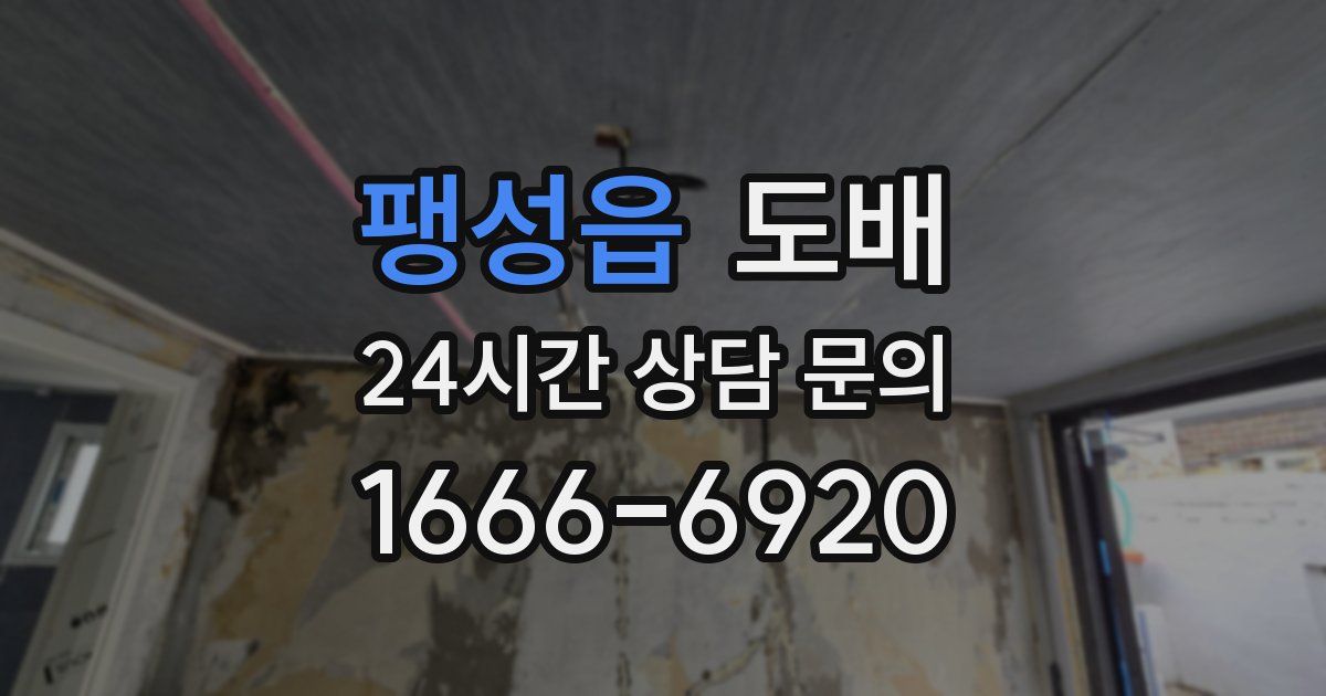 팽성읍 도배