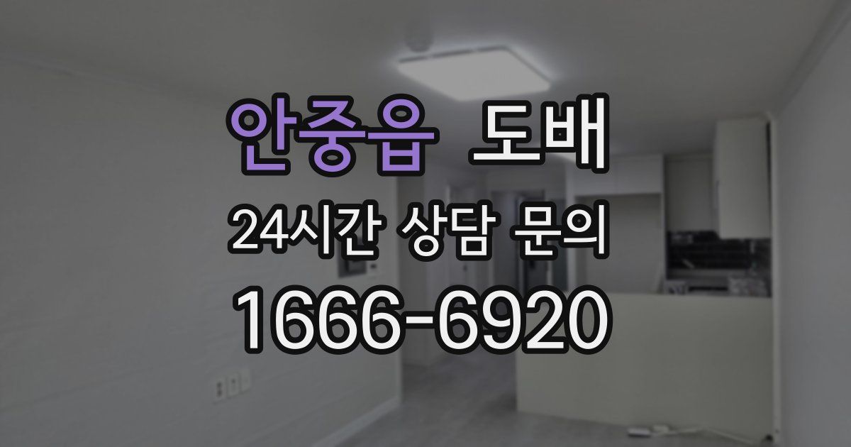 안중읍 도배